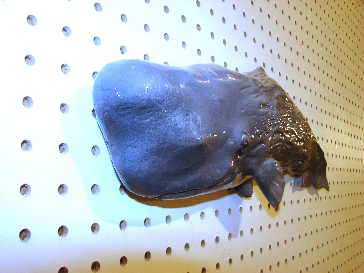 19" Sperm Whale FREE SHIPPING