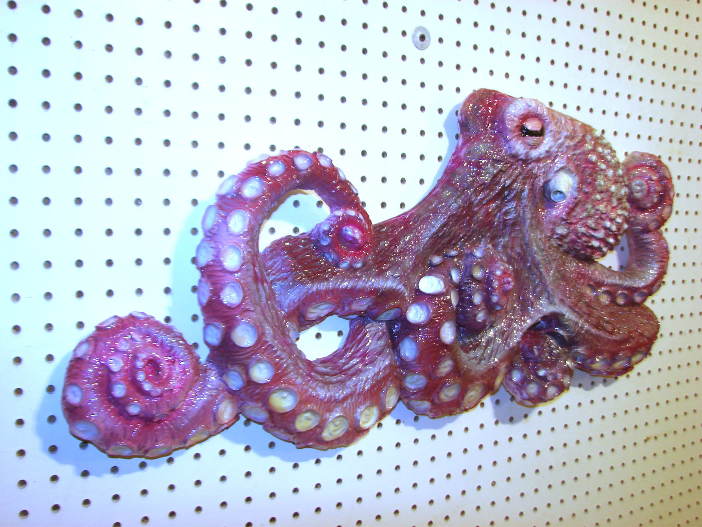 31" Octopus Wall Sculpture FREE SHIPPING