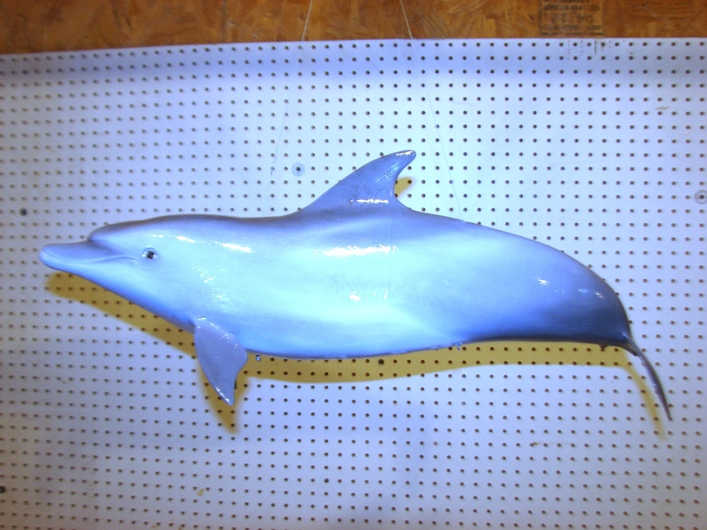 Fully Three-Dimensional Dolphin FREE SHIPPING