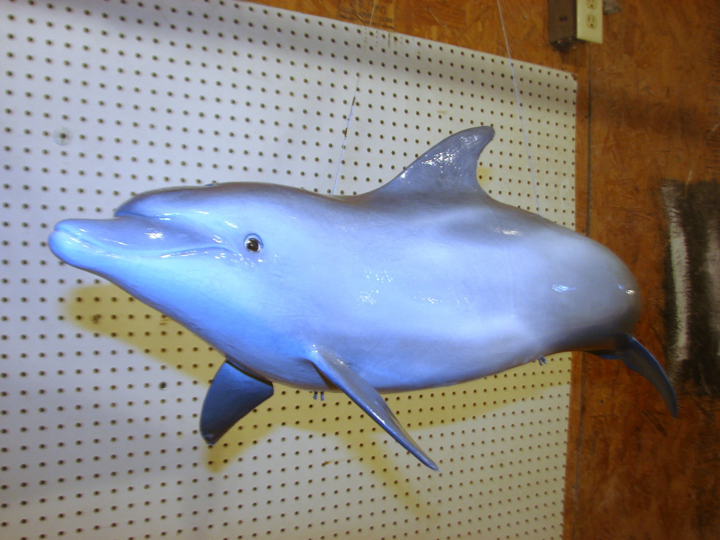 Fully Three-Dimensional Dolphin FREE SHIPPING