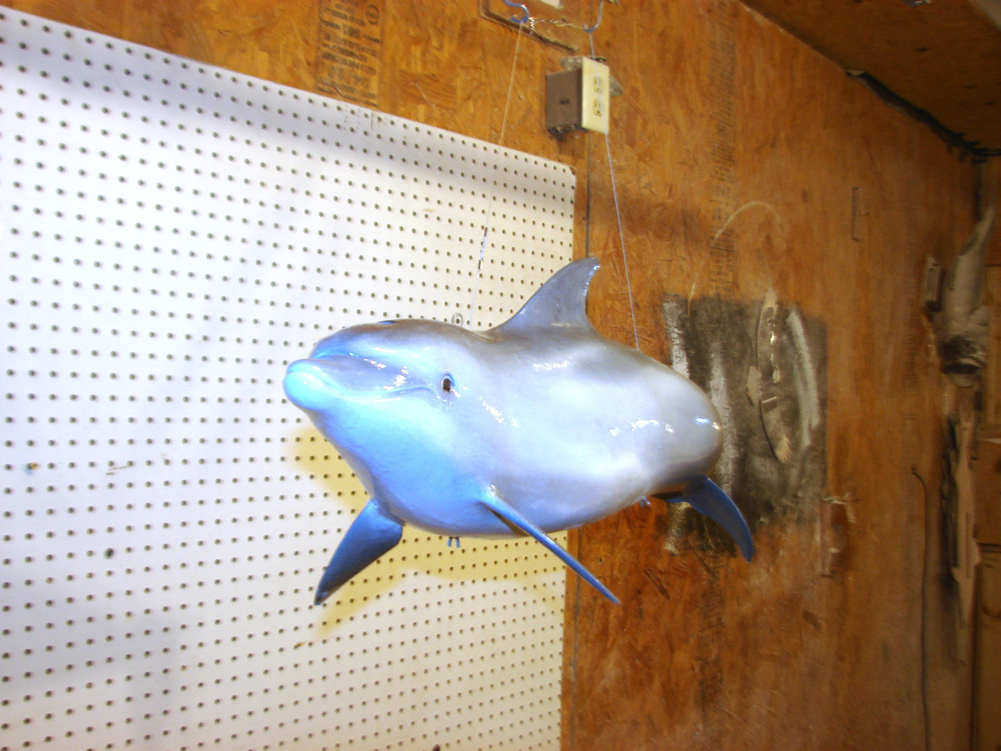 Fully Three-Dimensional Dolphin FREE SHIPPING
