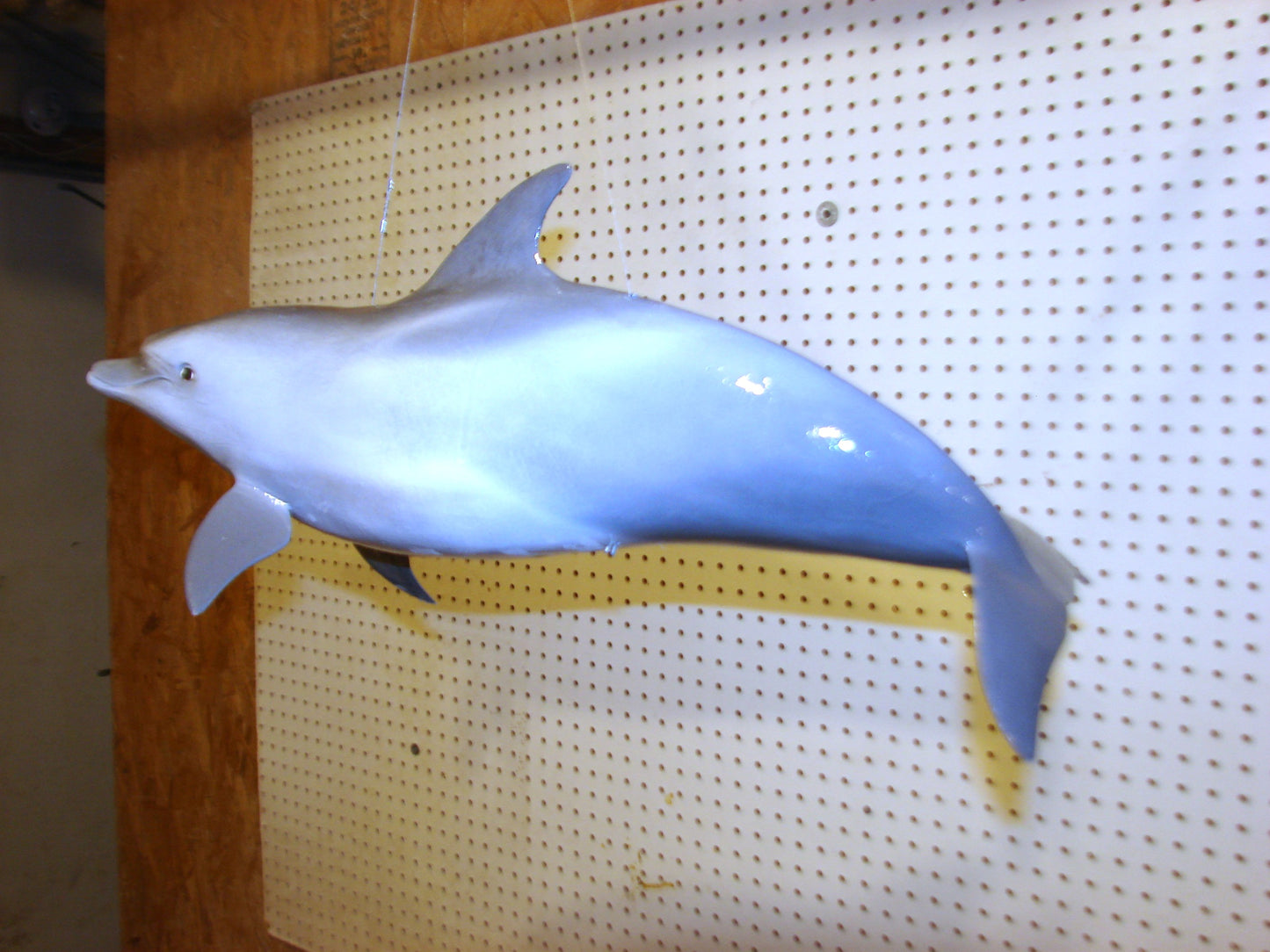 Fully Three-Dimensional Dolphin FREE SHIPPING