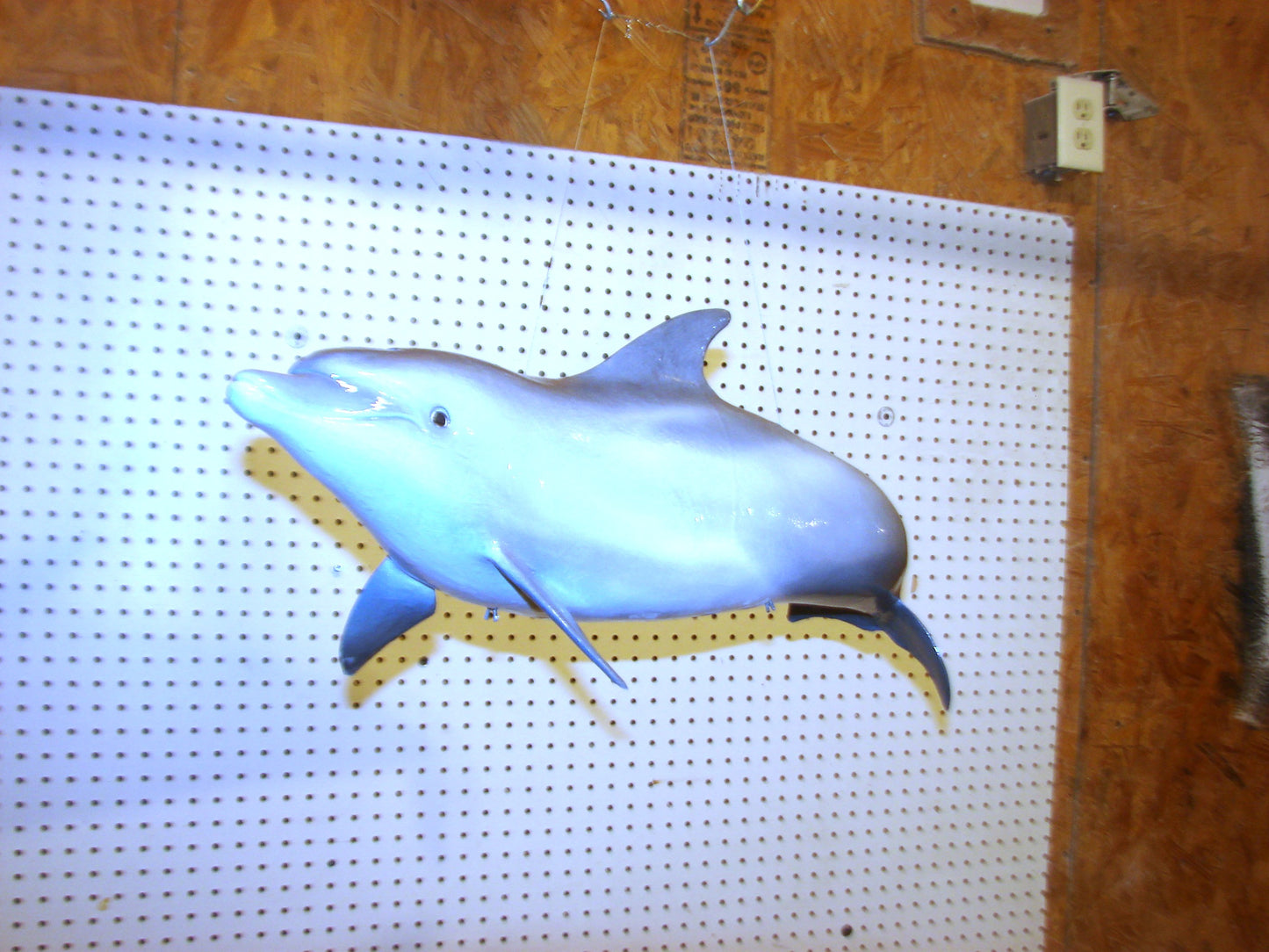 Fully Three-Dimensional Dolphin FREE SHIPPING