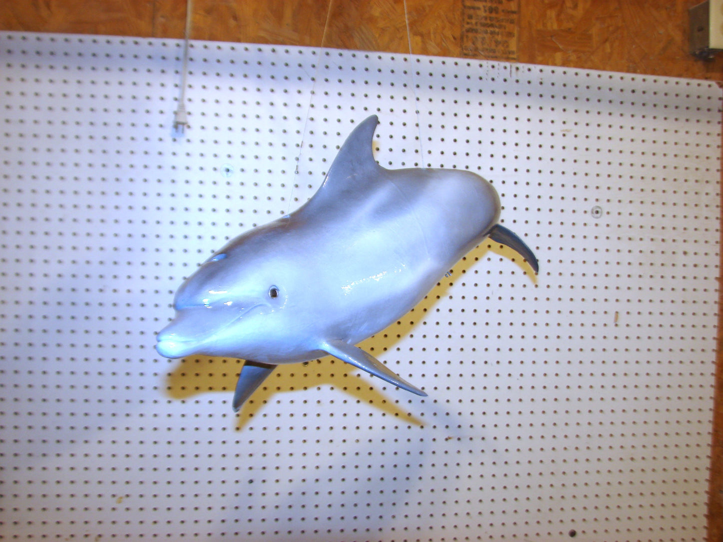 Fully Three-Dimensional Dolphin FREE SHIPPING