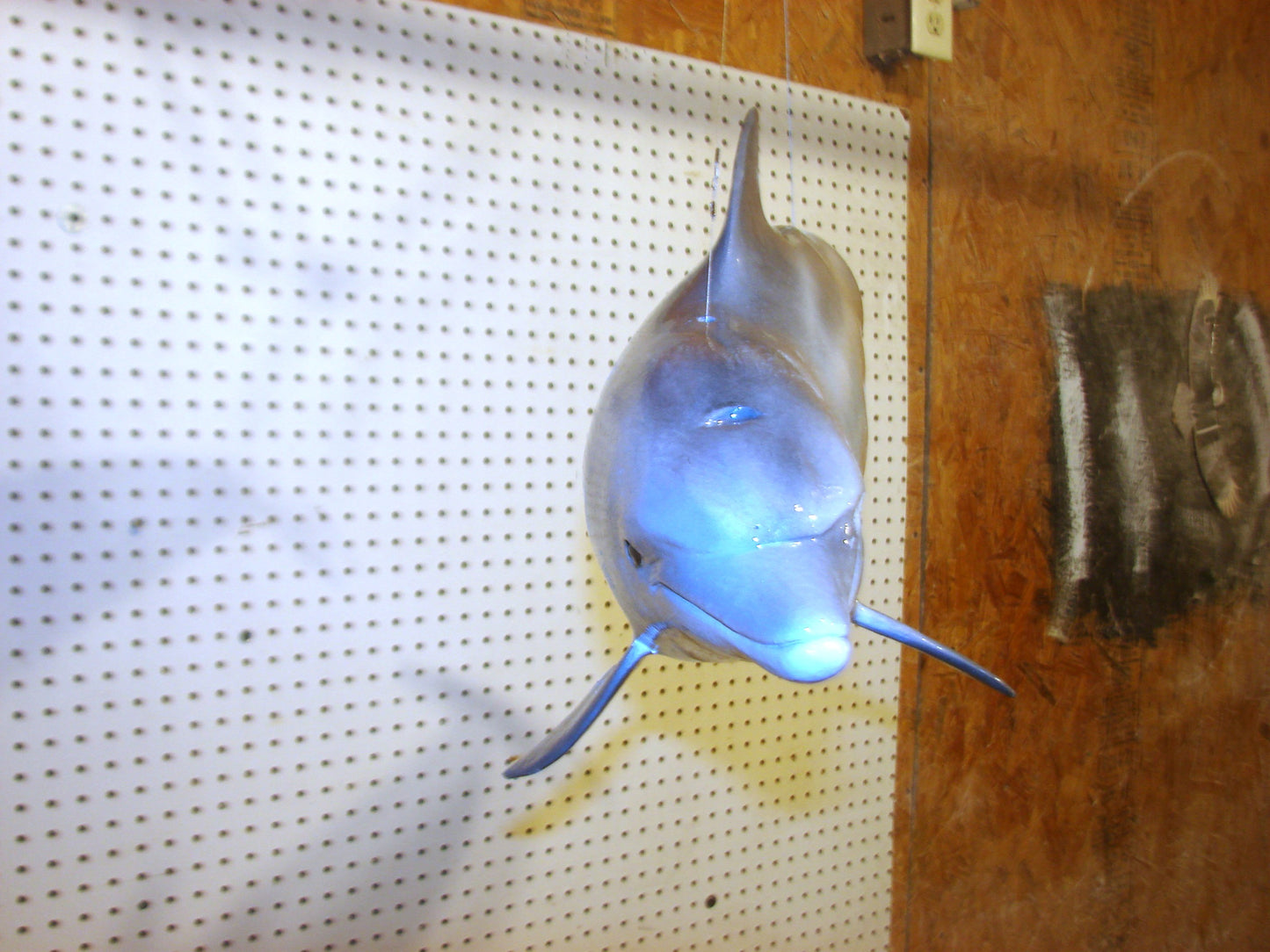 Fully Three-Dimensional Dolphin FREE SHIPPING