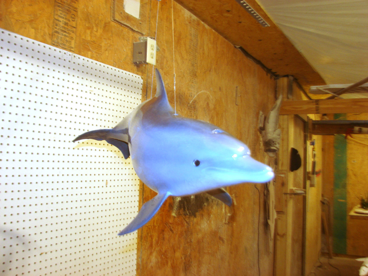 Fully Three-Dimensional Dolphin FREE SHIPPING