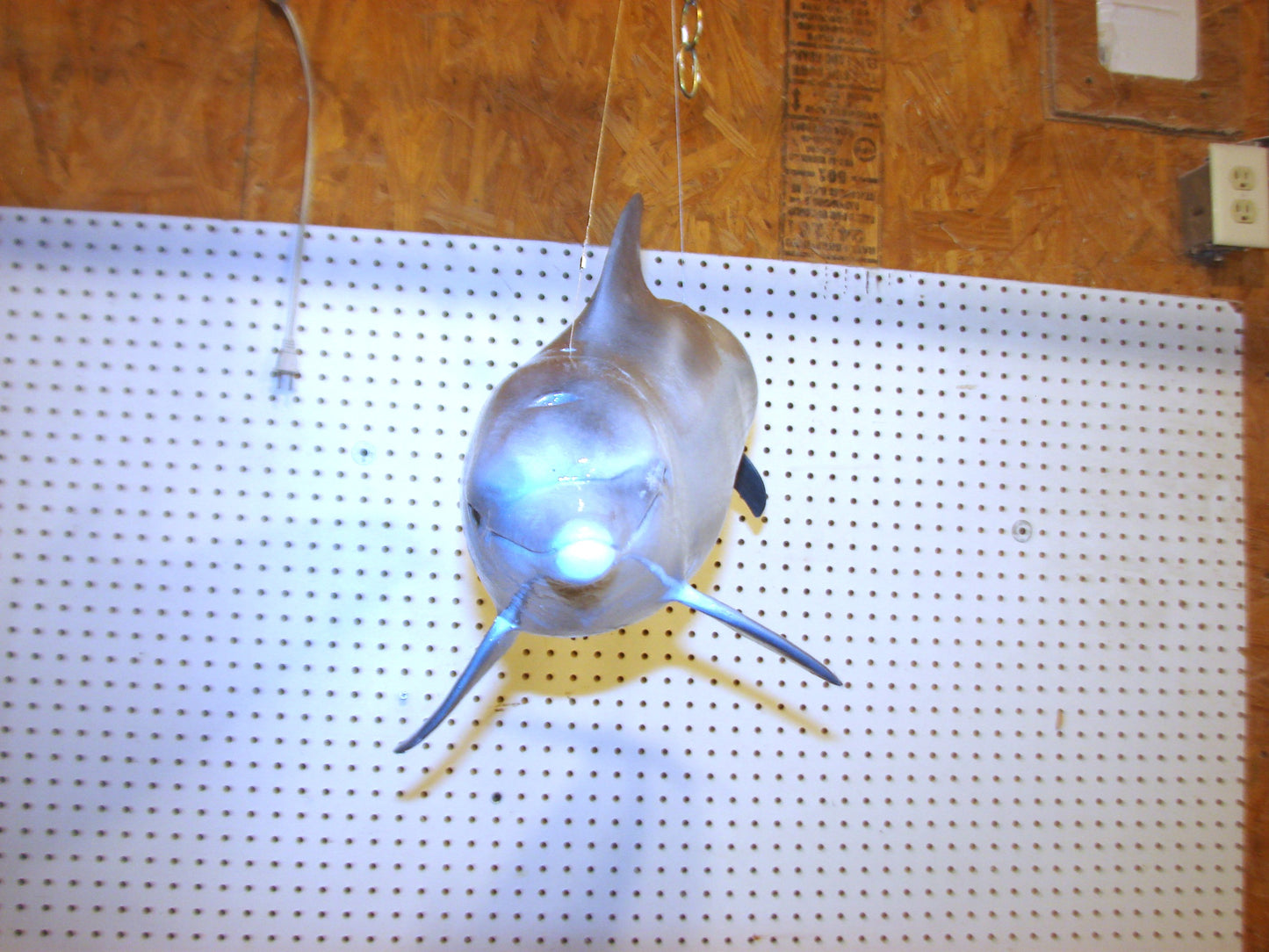 Fully Three-Dimensional Dolphin FREE SHIPPING