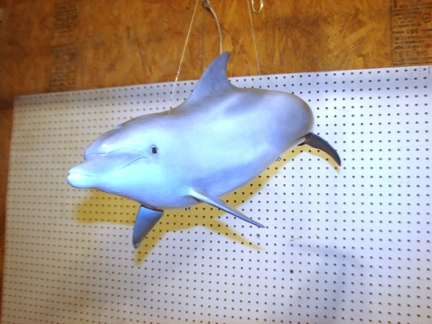 Fully Three-Dimensional Dolphin FREE SHIPPING