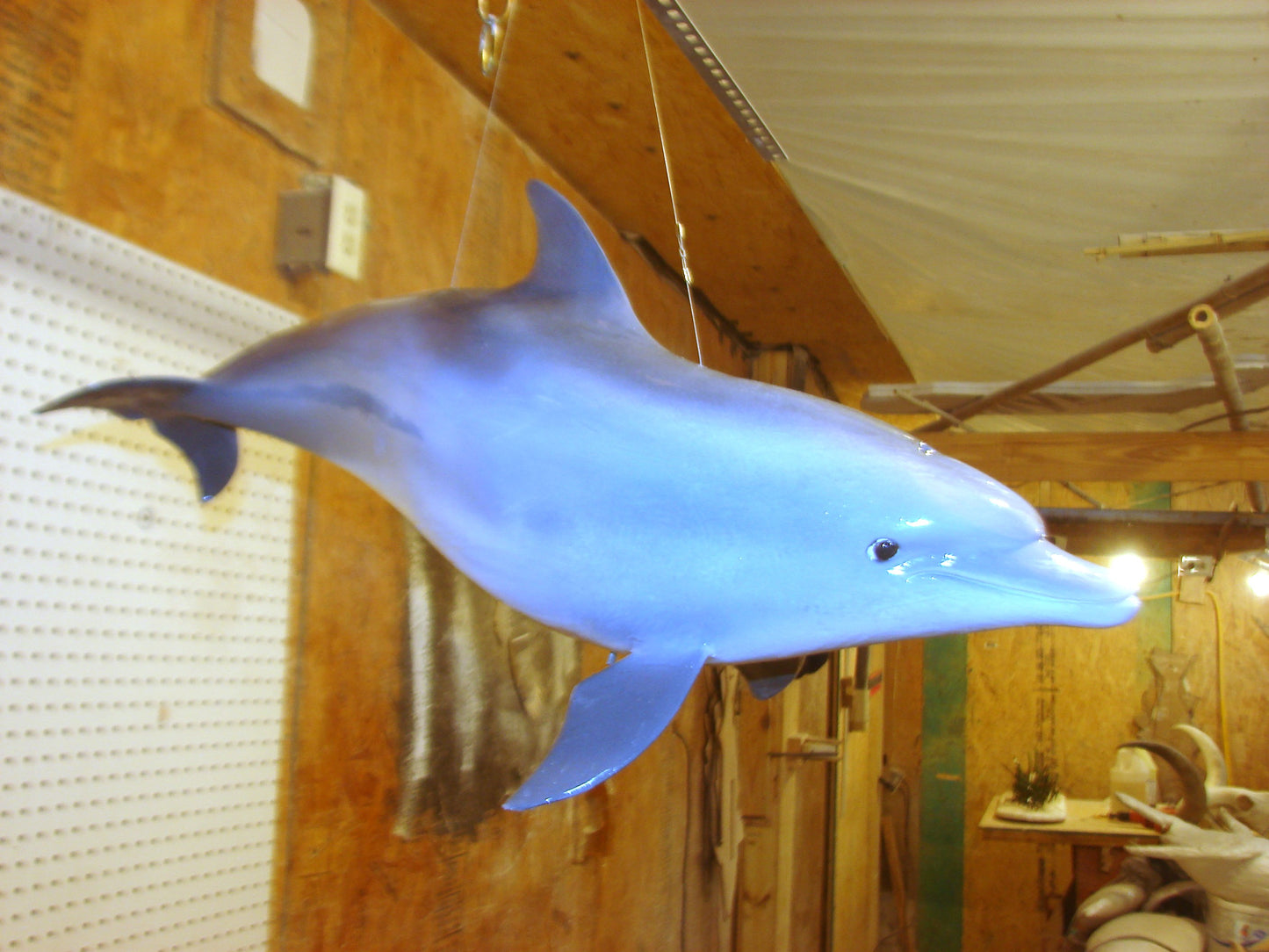 Fully Three-Dimensional Dolphin FREE SHIPPING