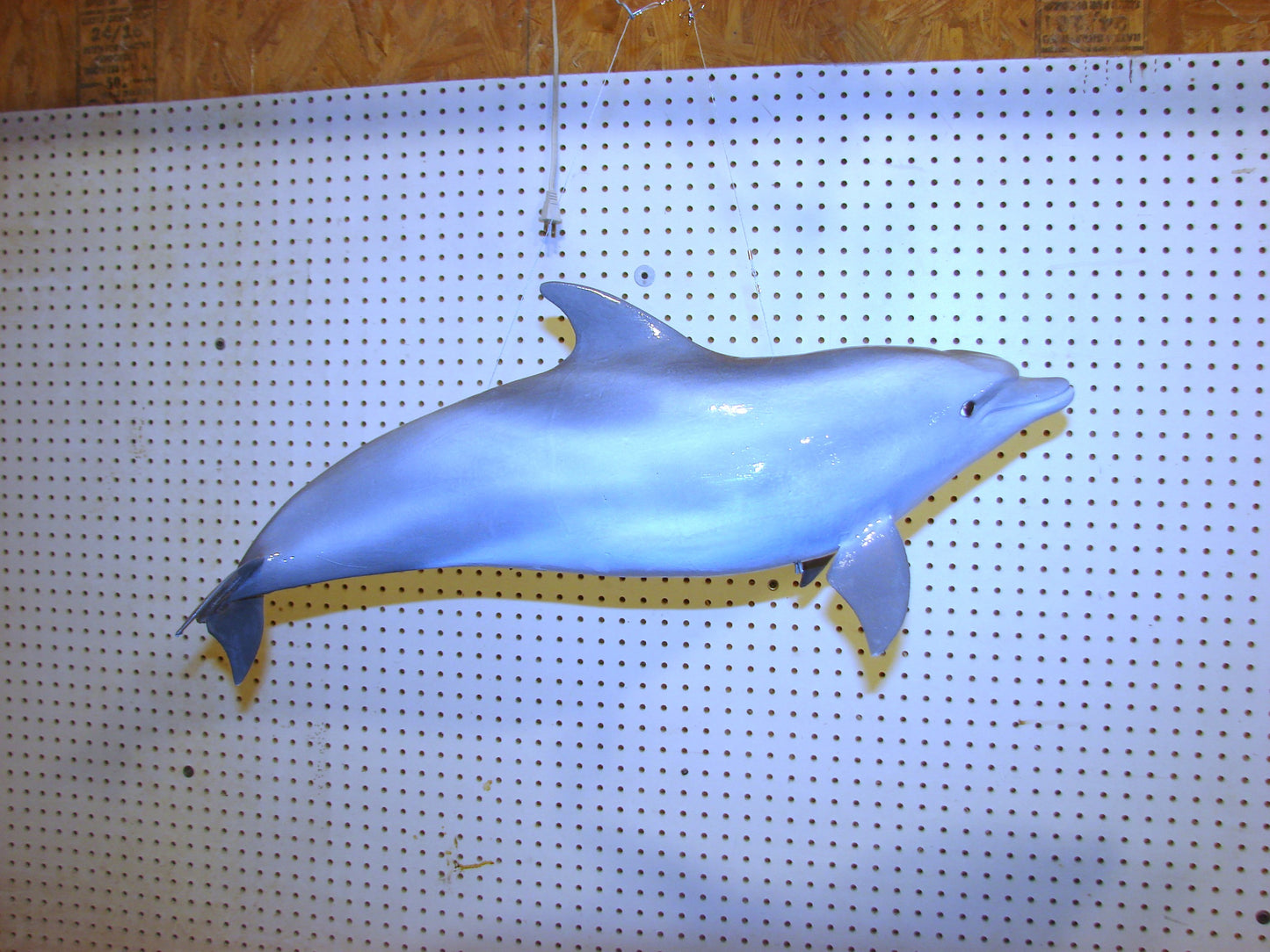 Fully Three-Dimensional Dolphin FREE SHIPPING