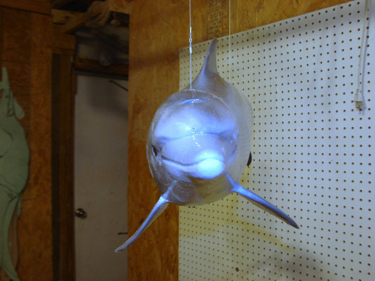 Fully Three-Dimensional Dolphin FREE SHIPPING