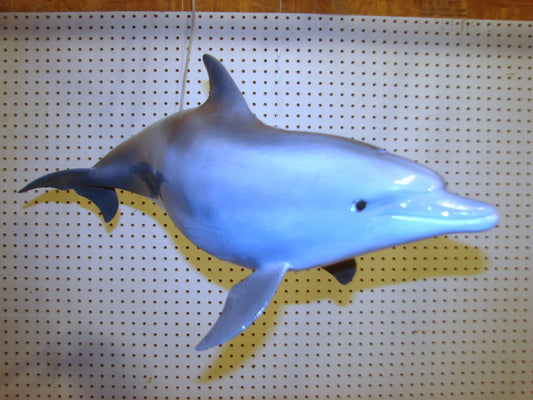 Fully Three-Dimensional Dolphin FREE SHIPPING
