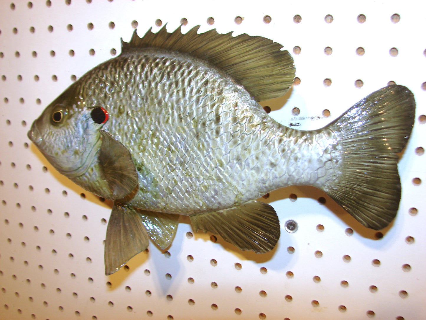 12" Shellcracker wall mount FREE SHIPPING