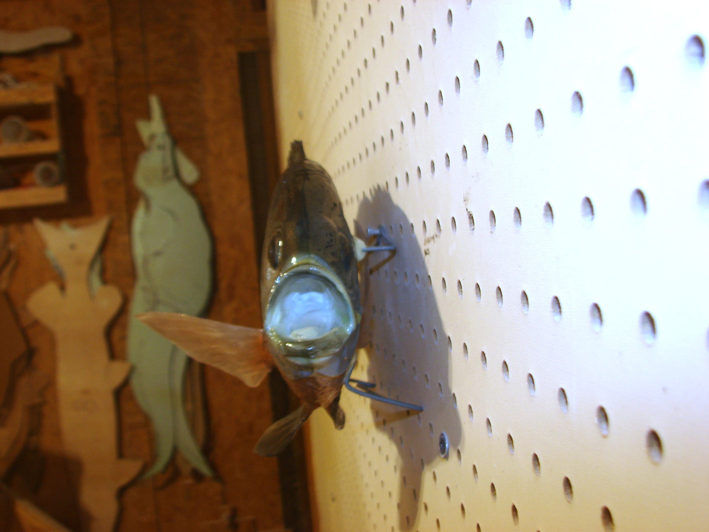 12.5" Bluegill wall mount FREE SHIPPING