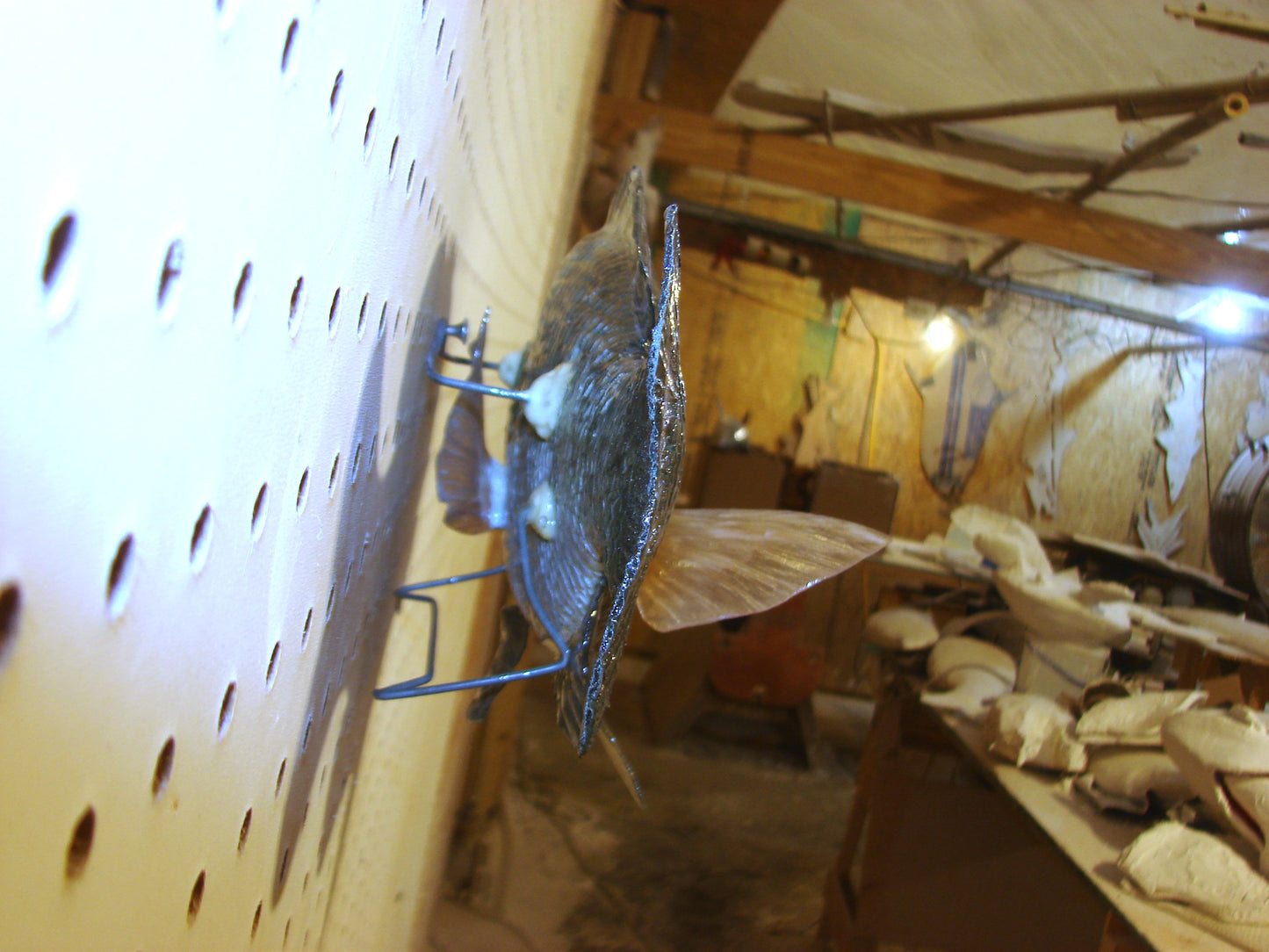 12.5" Bluegill wall mount FREE SHIPPING