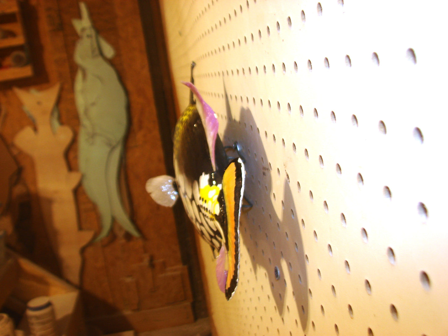 13" Clown Triggerfish FREE SHIPPING