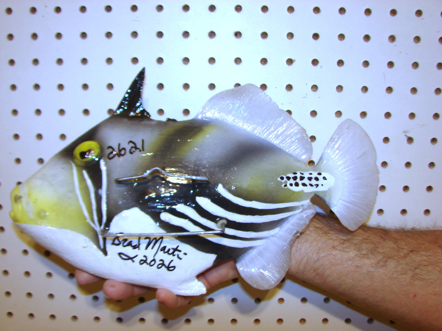 13" Lagoon Picasso Triggerfish FREE SHIPPING