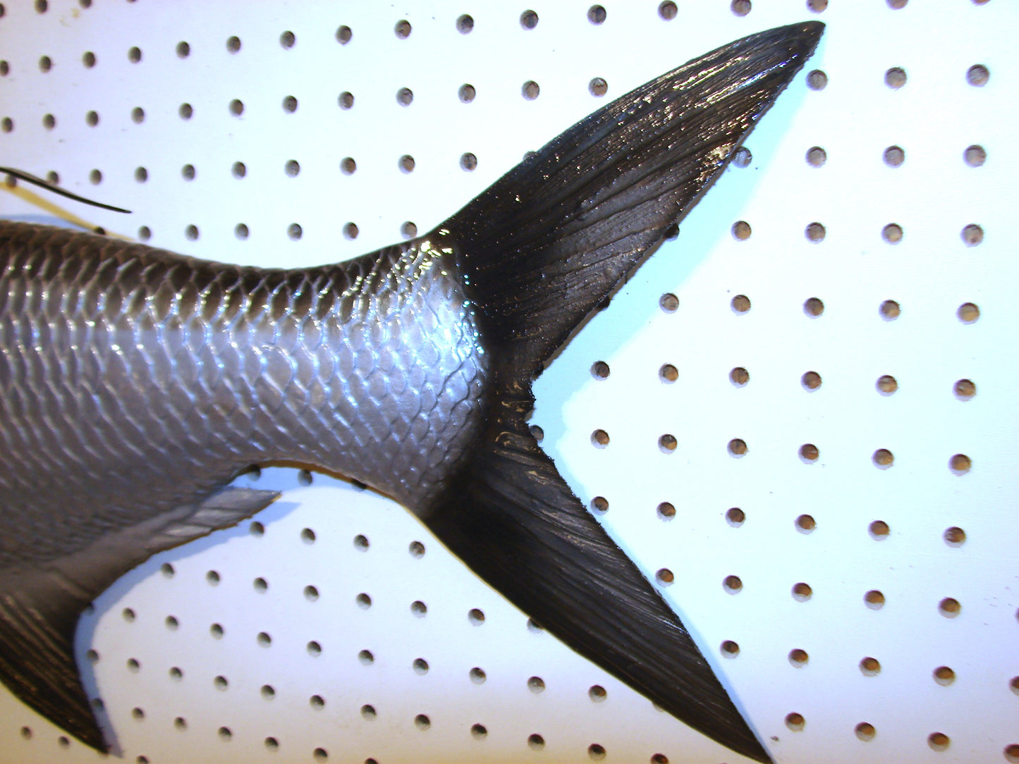 36" Tarpon Free shipping