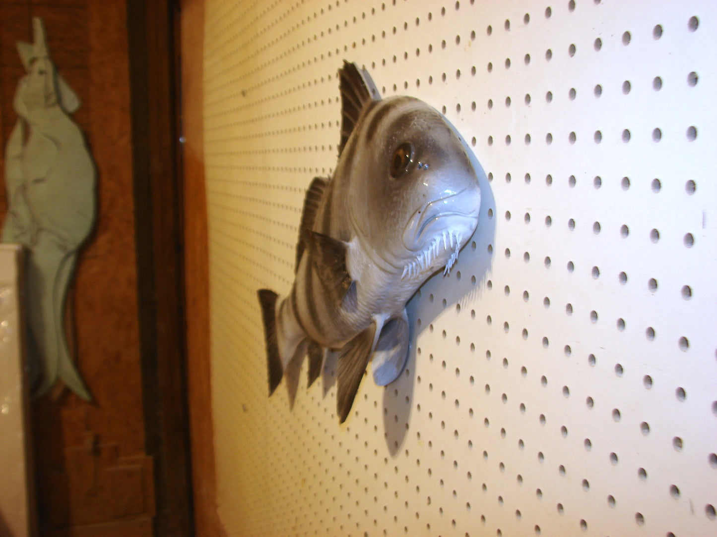 25" Black Drum FREE SHIPPING