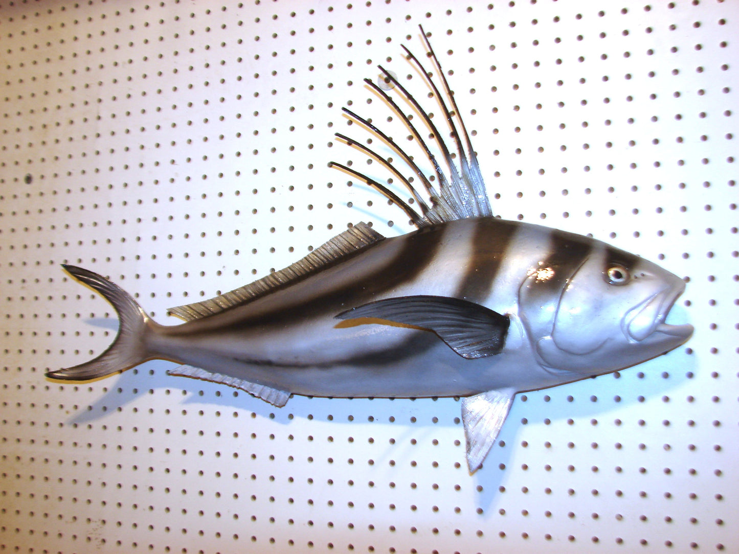 30" Roosterfish FREE SHIPPING