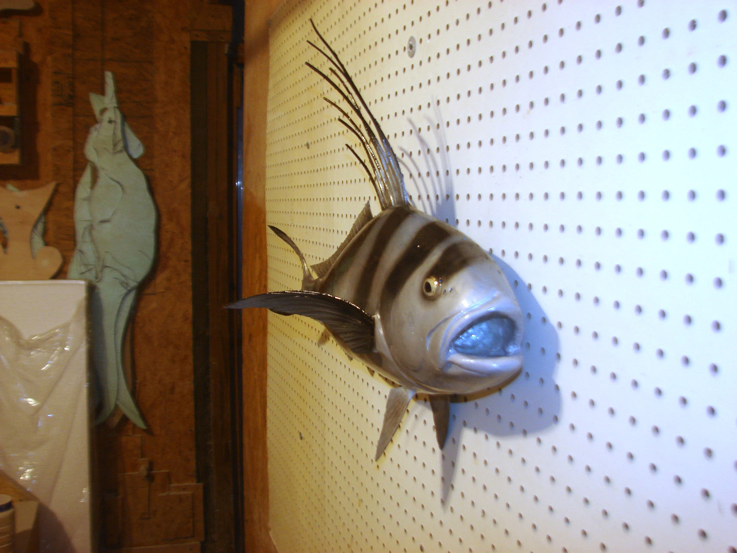 30" Roosterfish FREE SHIPPING