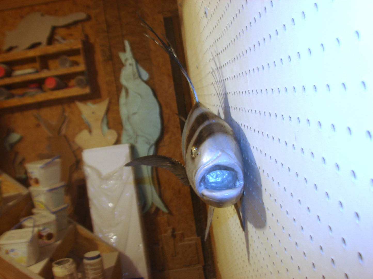30" Roosterfish FREE SHIPPING