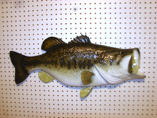 28" Largemouth Bass FREE SHIPPING