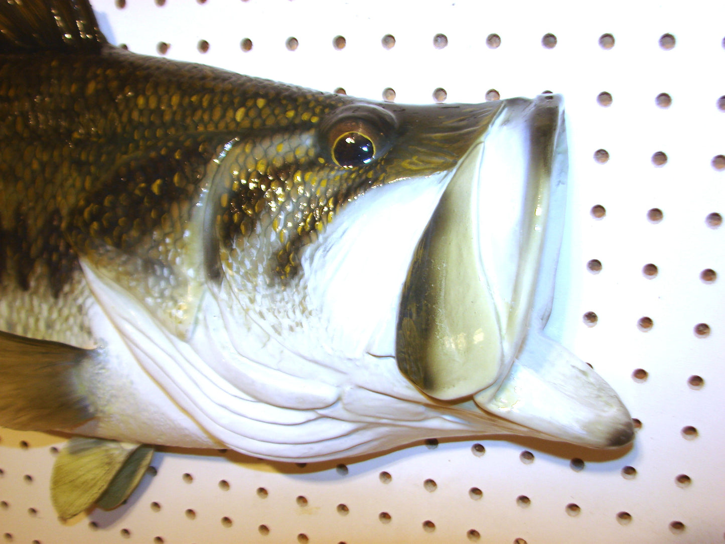 28" Largemouth Bass FREE SHIPPING