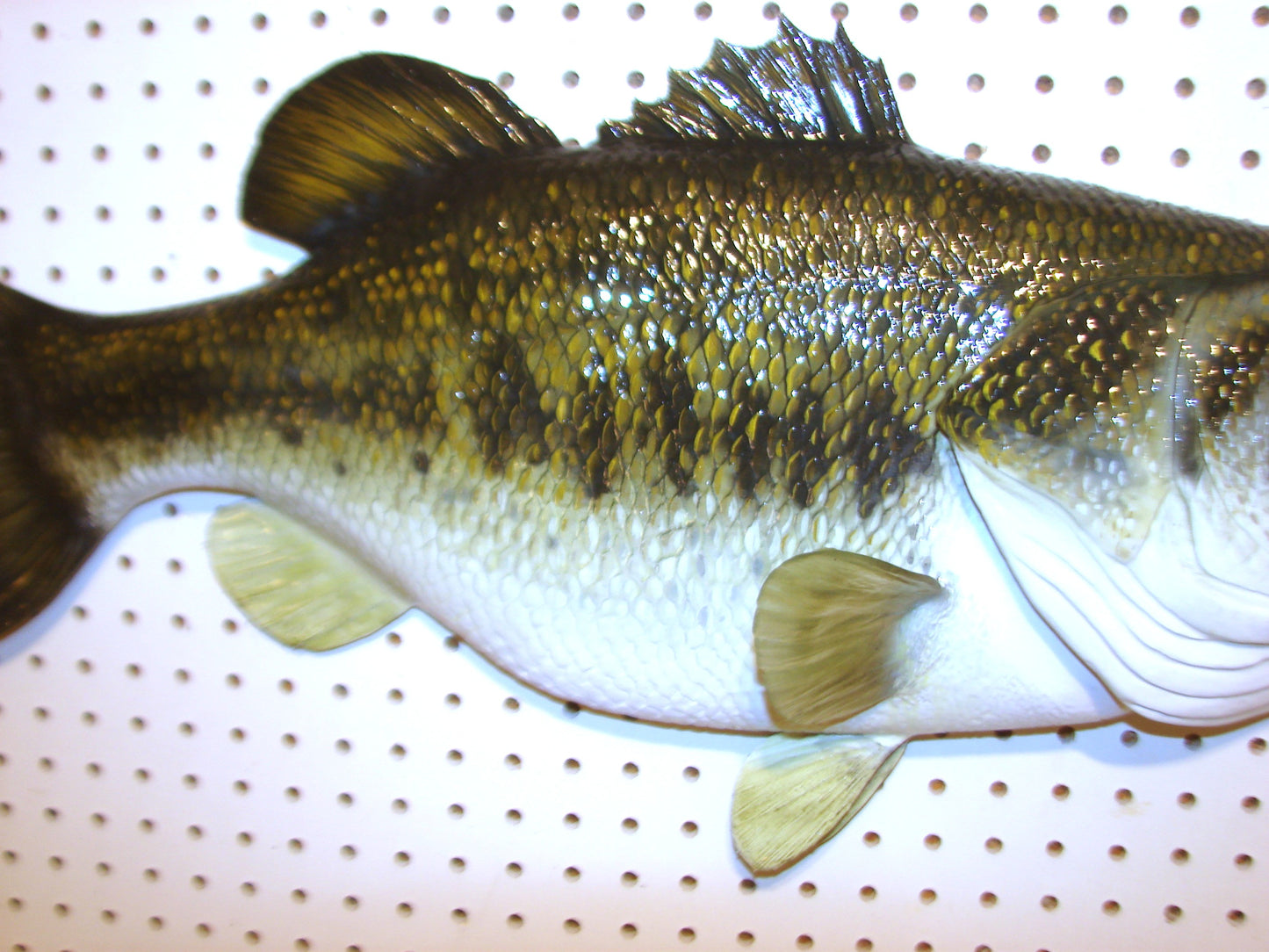 28" Largemouth Bass FREE SHIPPING