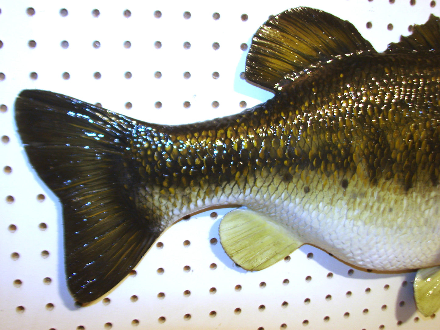 28" Largemouth Bass FREE SHIPPING