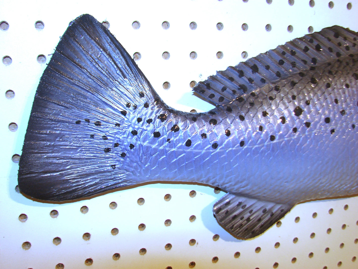30" Speckled Sea Trout 1/2 mount  FREE SHIPPING