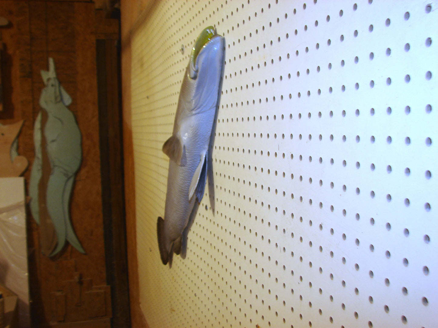 30" Speckled Sea Trout 1/2 mount  FREE SHIPPING