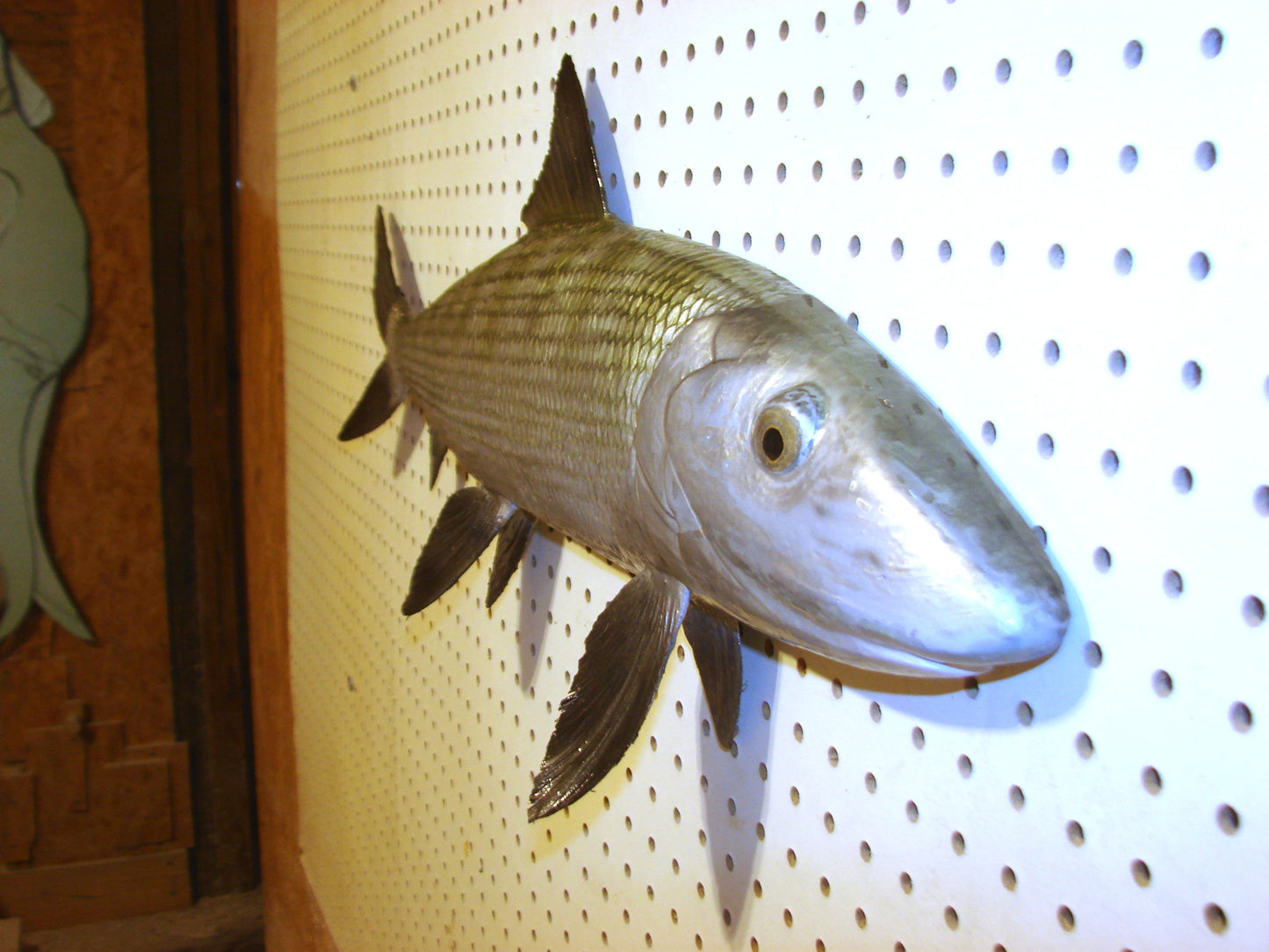 31" Bonefish Free shipping