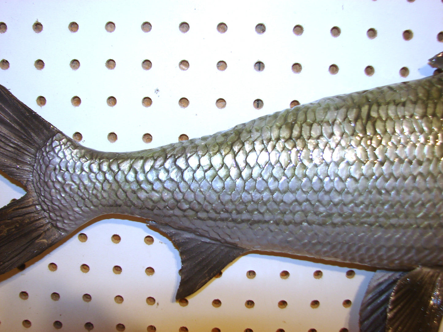 31" Bonefish Free shipping