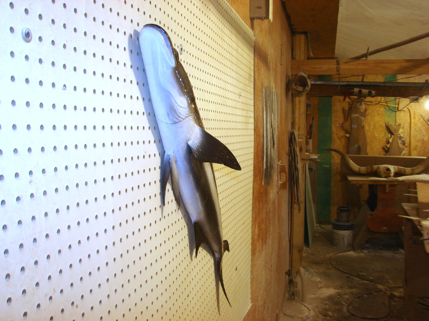 40" Cobia FREE SHIPPING