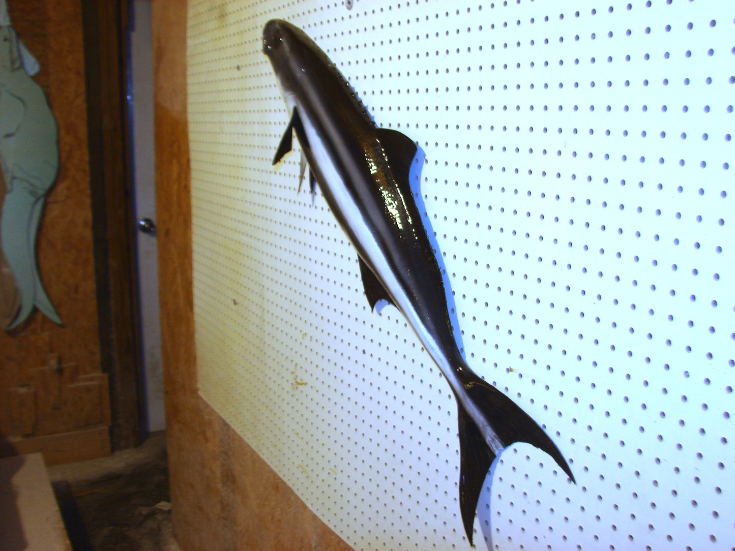 40" Cobia FREE SHIPPING