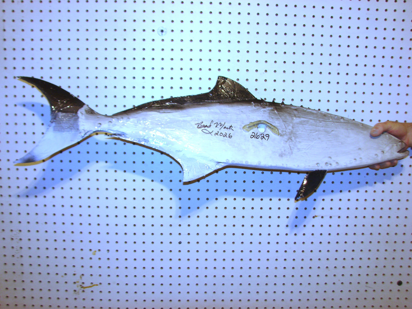 40" Cobia FREE SHIPPING