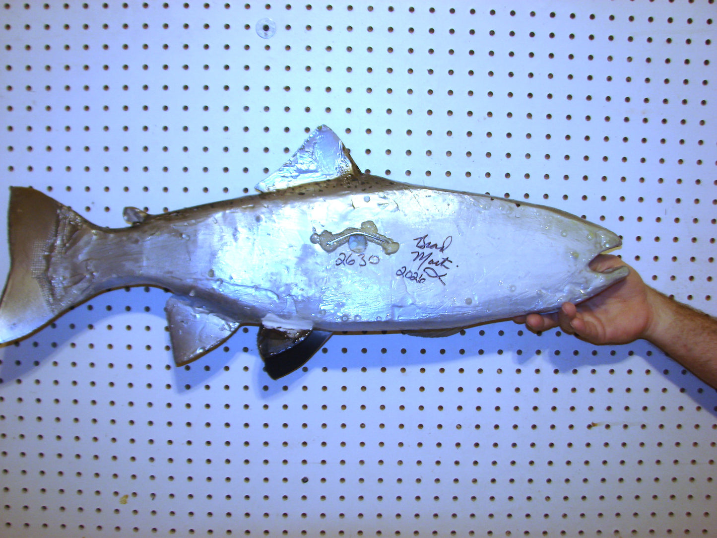 30" Rainbow Trout FREE SHIPPING