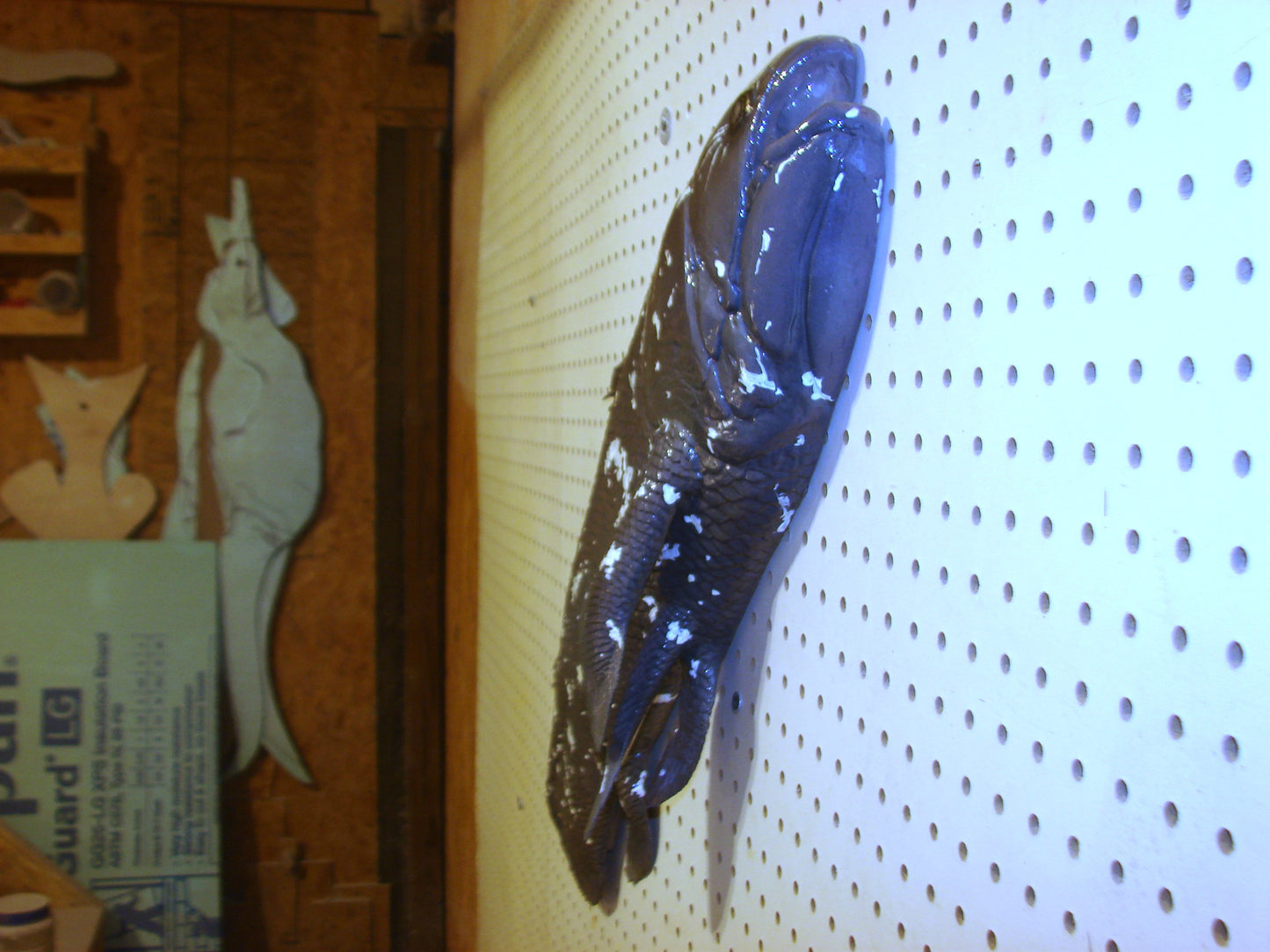 Coelacanth Fish 1/2 Mount FREE SHIPPING