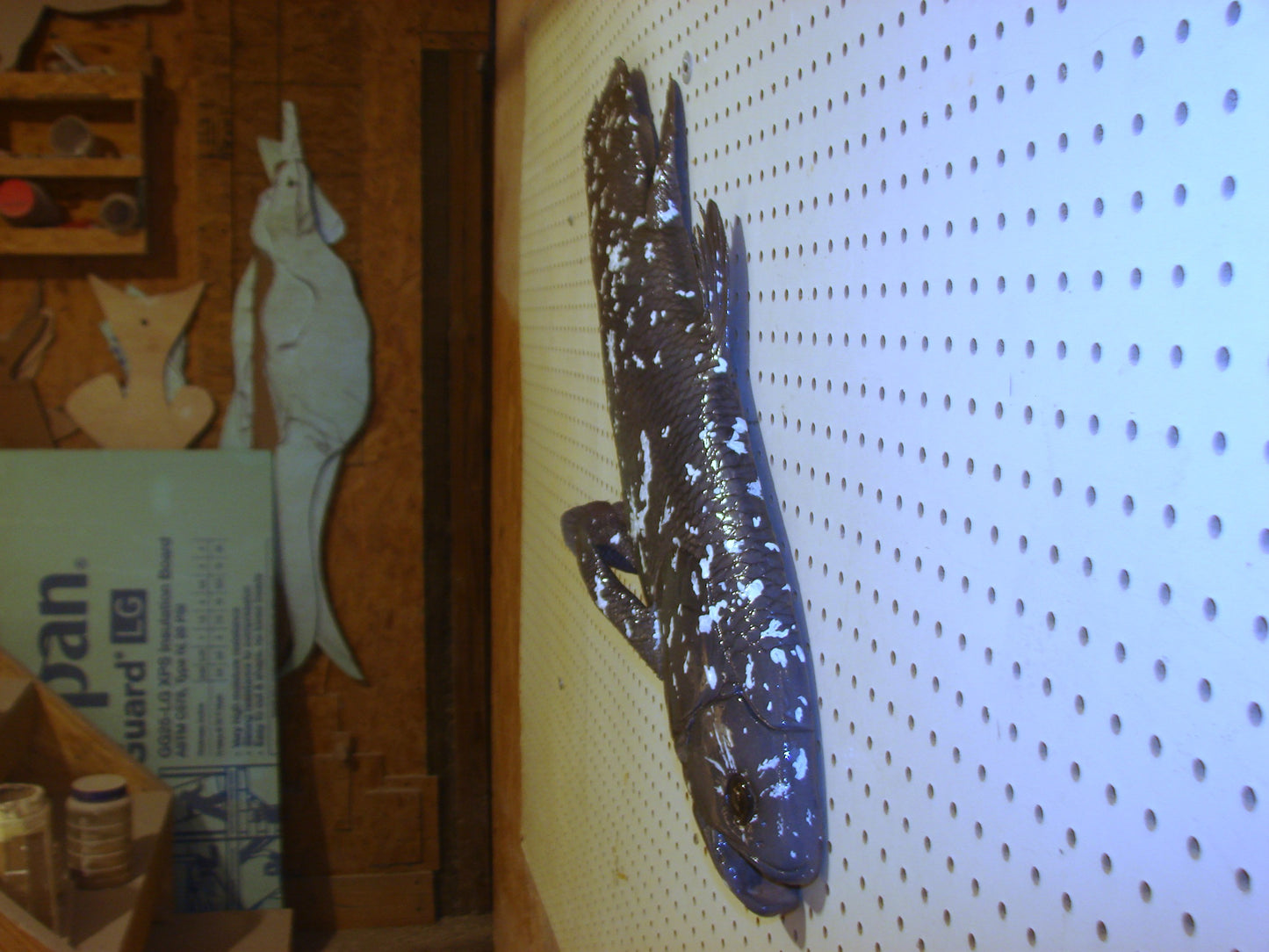 Coelacanth Fish 1/2 Mount FREE SHIPPING