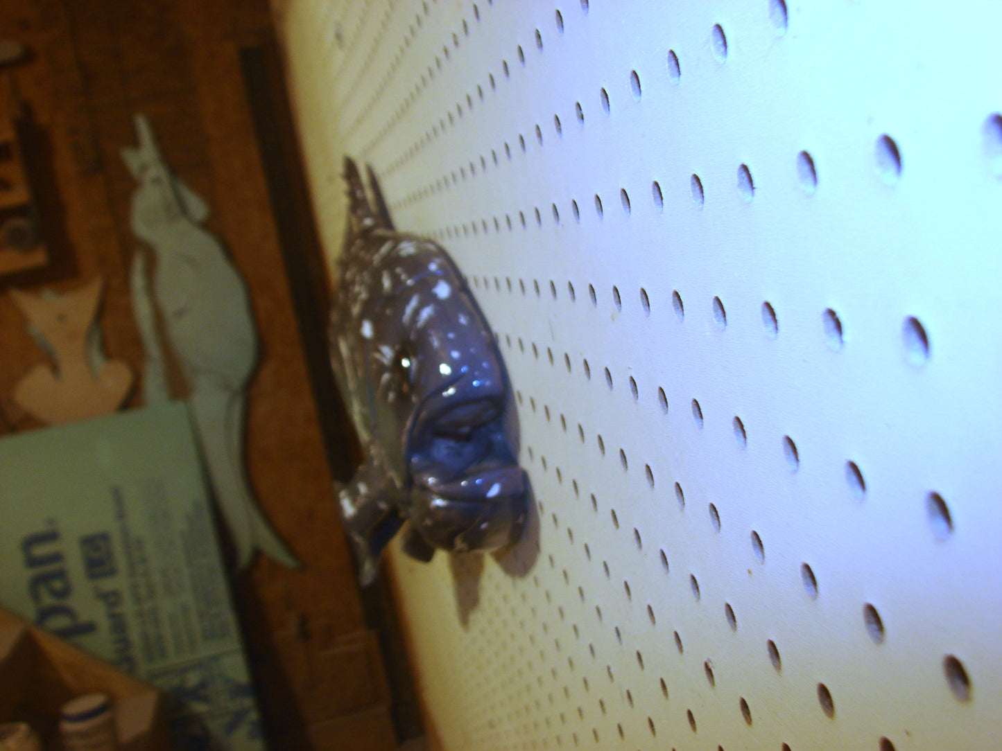 Coelacanth Fish 1/2 Mount FREE SHIPPING