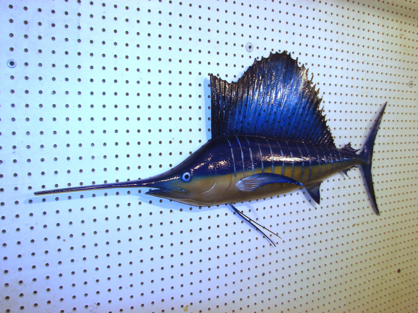 42" Sailfish FREE SHIPPING