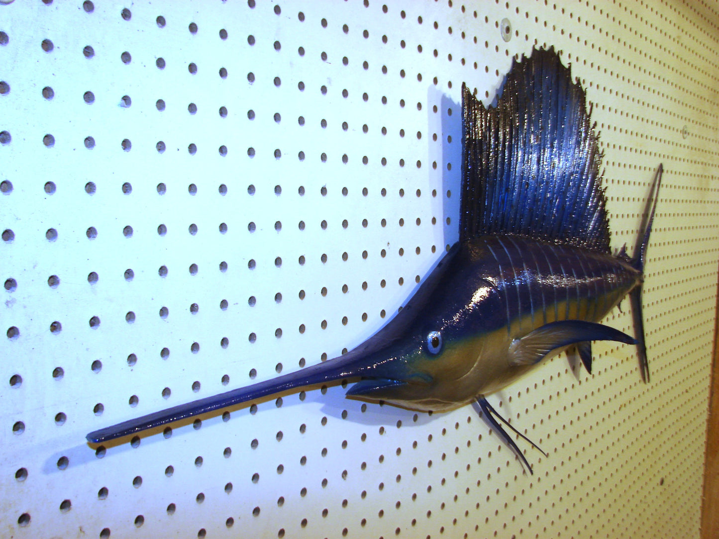 42" Sailfish FREE SHIPPING