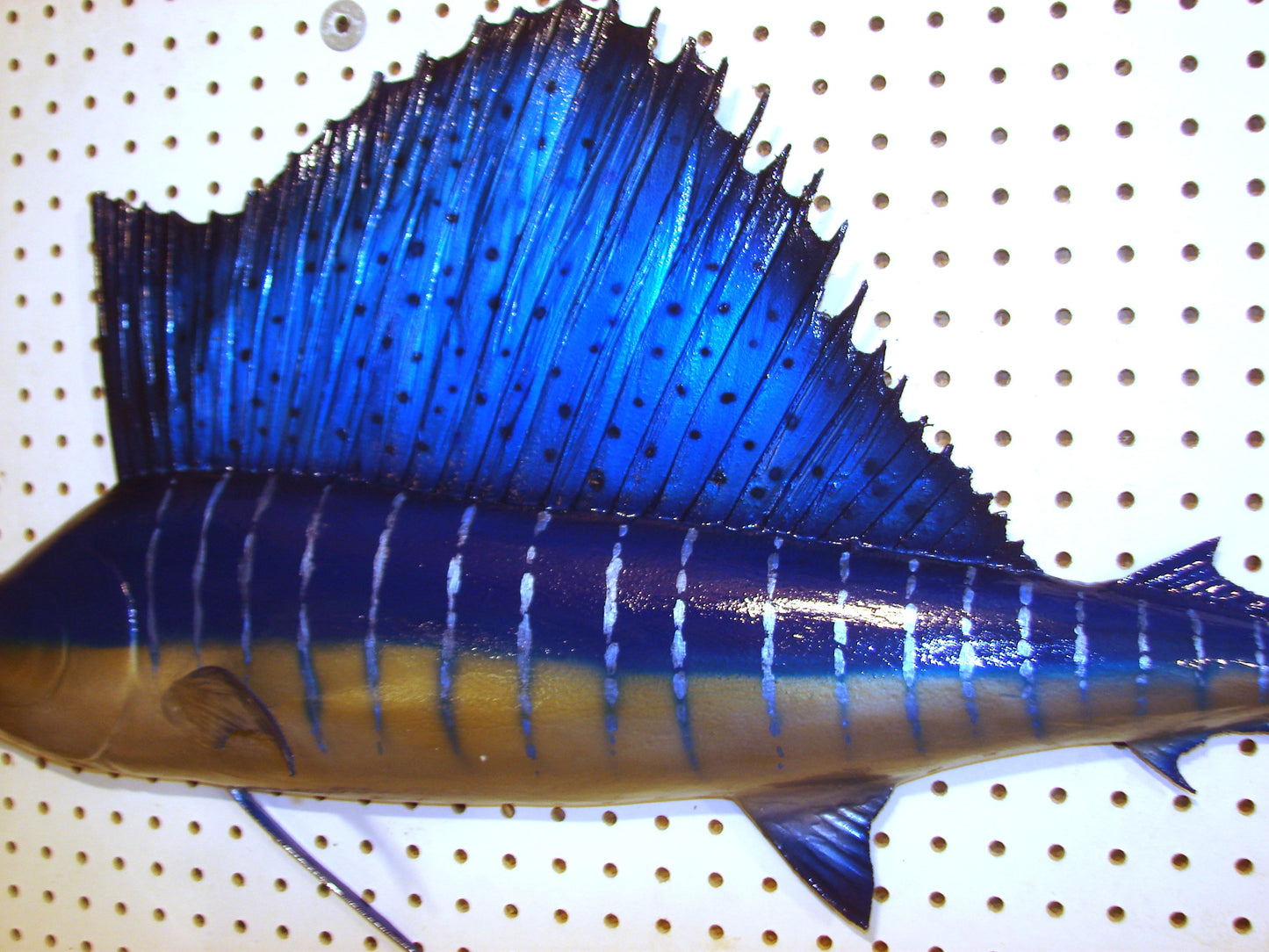 42" Sailfish FREE SHIPPING