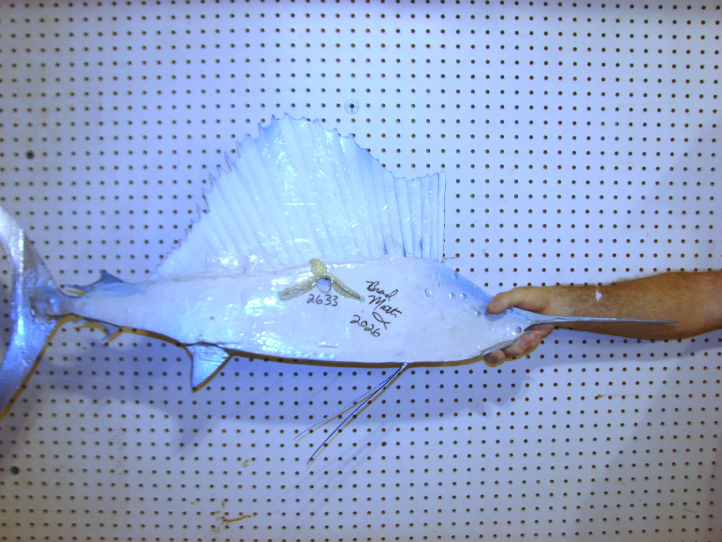 42" Sailfish FREE SHIPPING