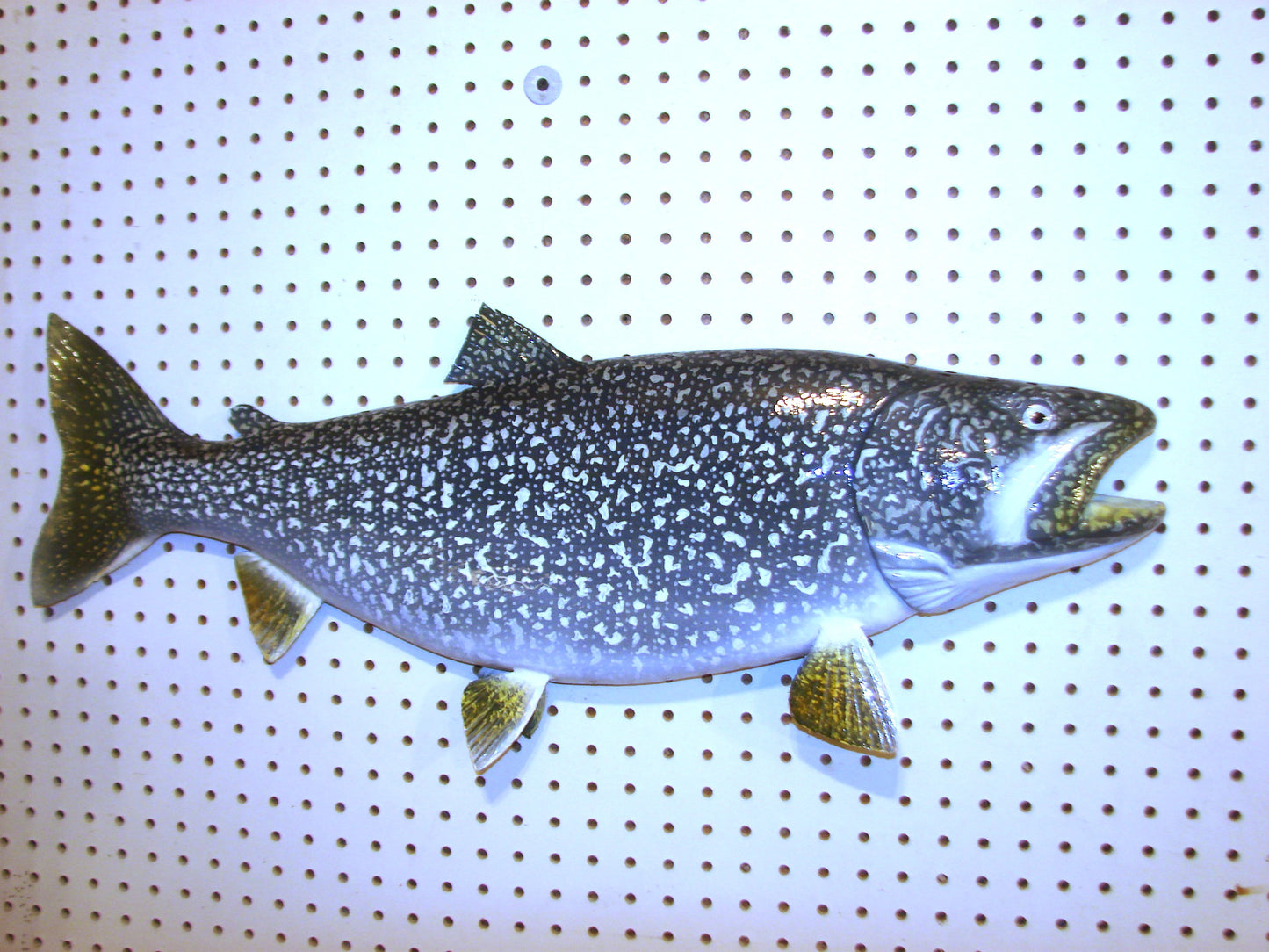 29" Lake Trout FREE SHIPPING