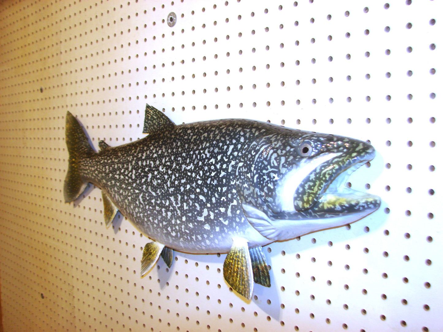 29" Lake Trout FREE SHIPPING