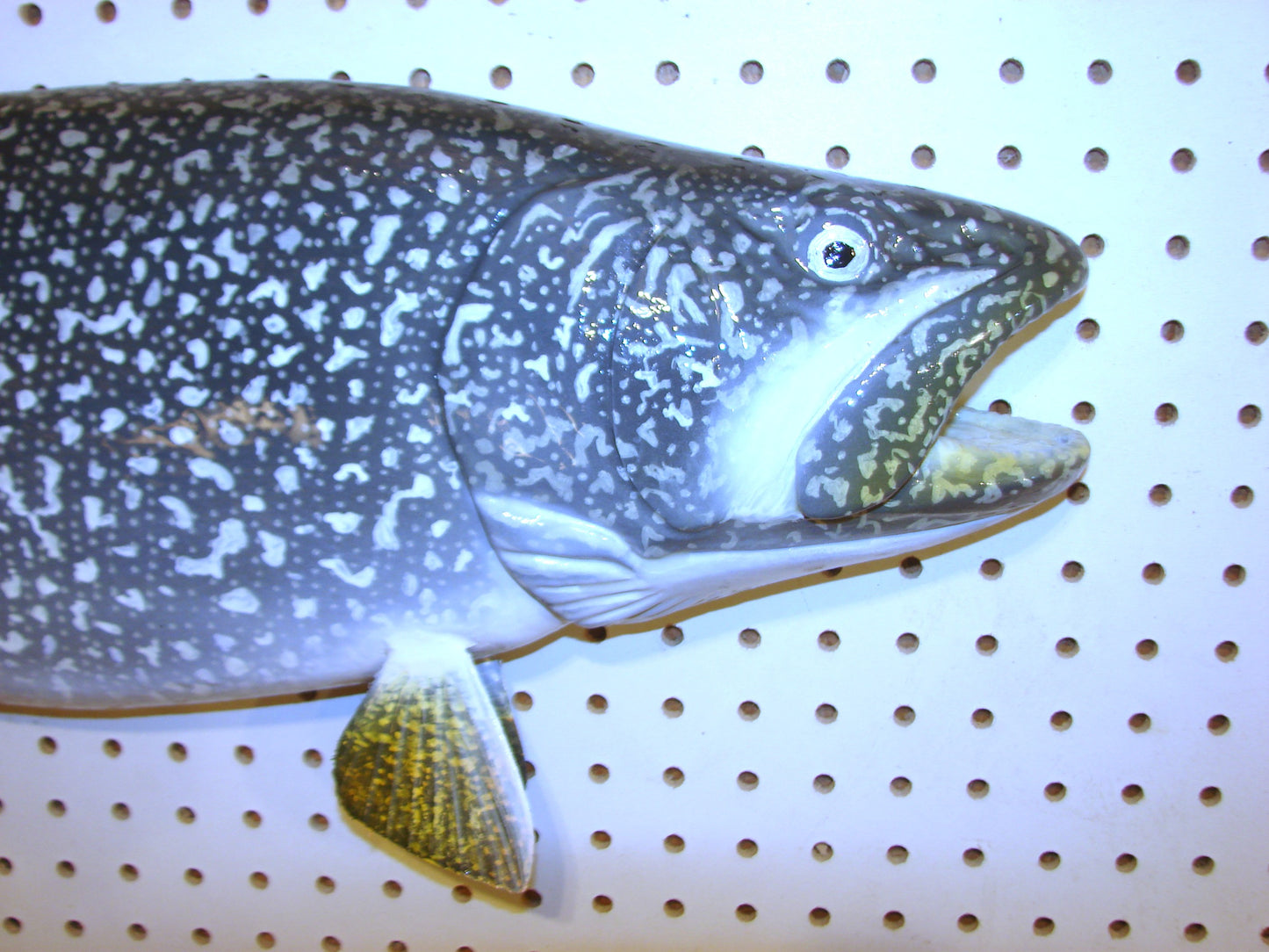 29" Lake Trout FREE SHIPPING
