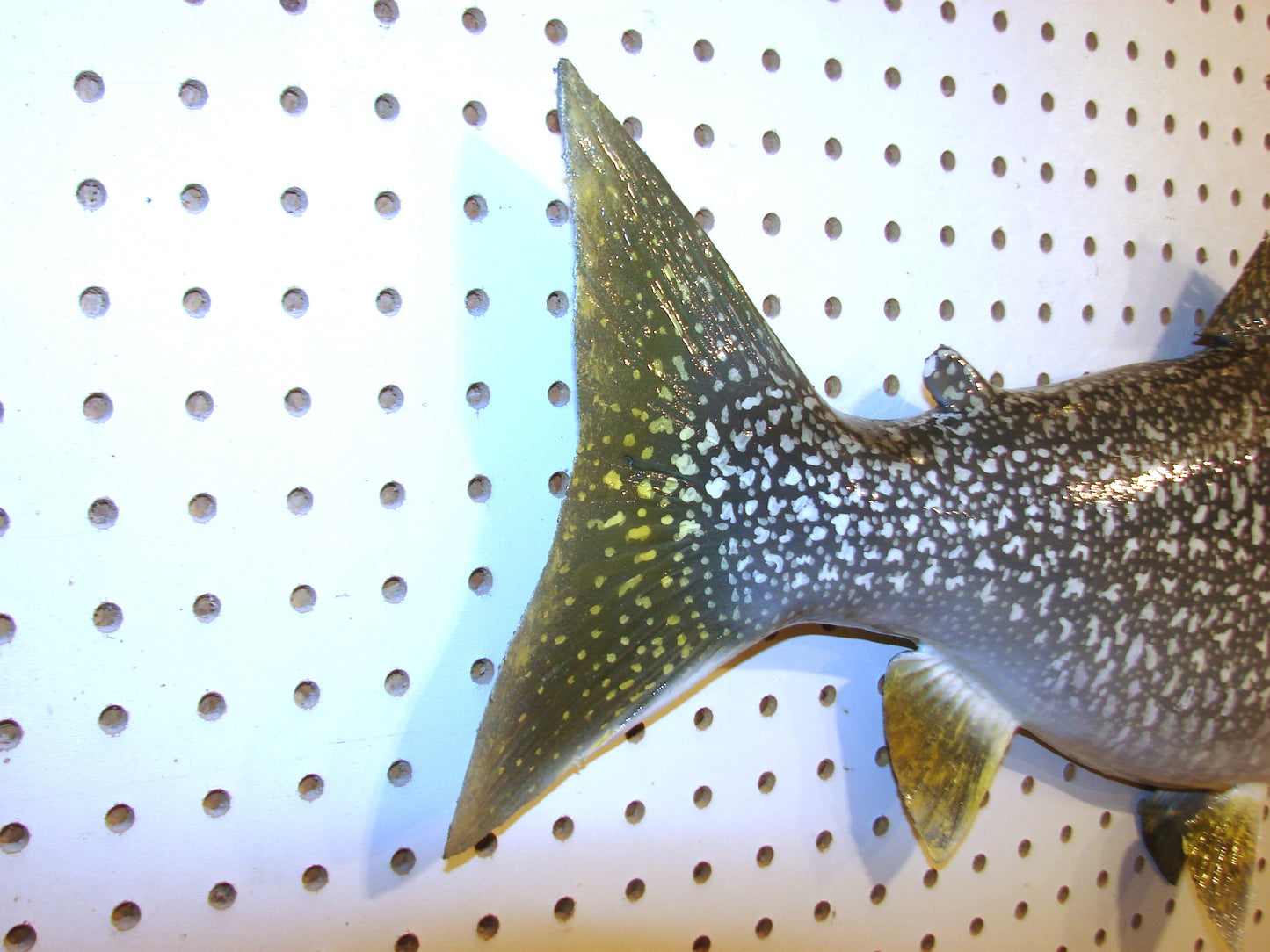29" Lake Trout FREE SHIPPING