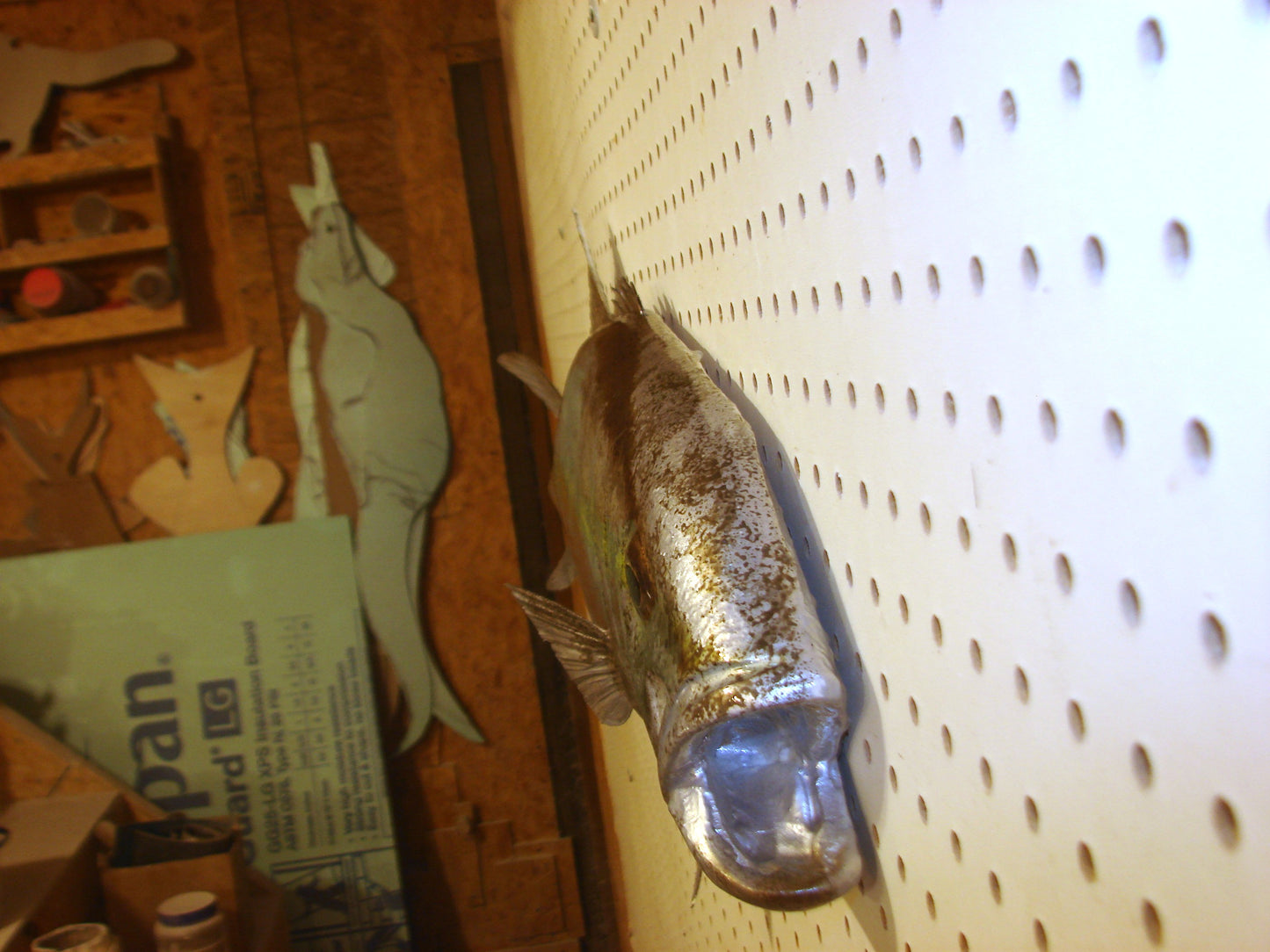 36" Amberjack FREE SHIPPING